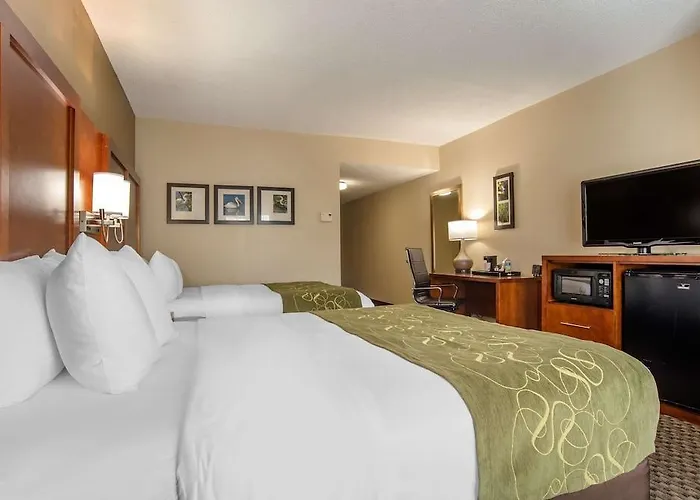 Comfort Capitol - Area