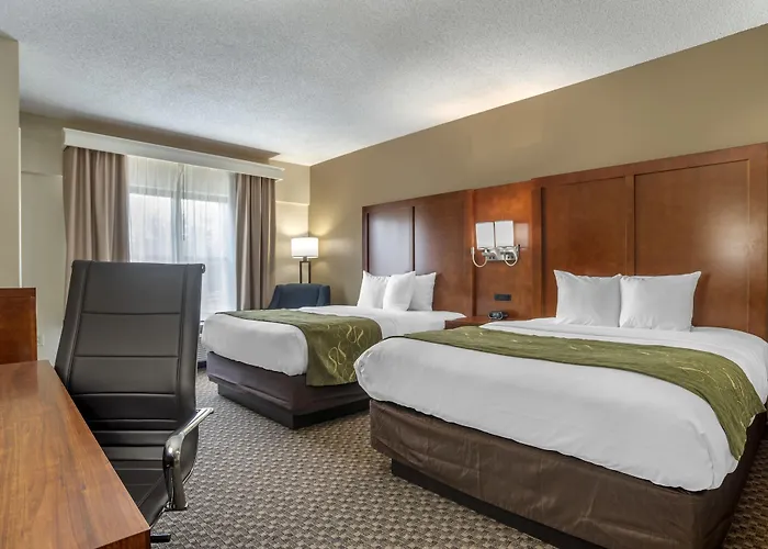 Comfort Capitol - Area Hotel Tallahassee