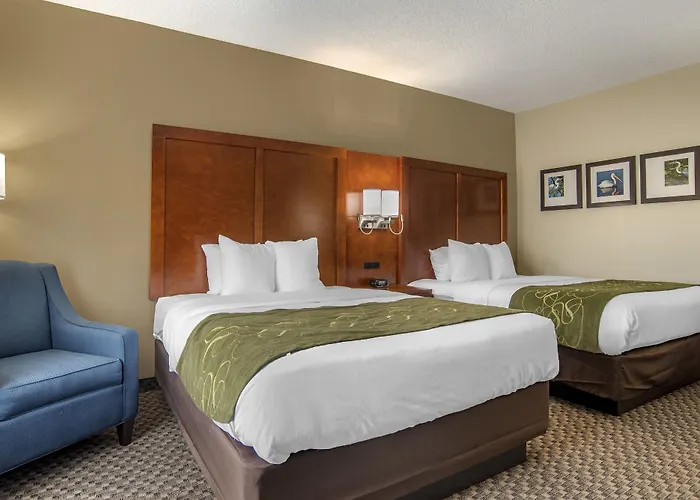 Hotel Comfort Capitol - Area 4*