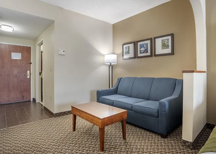 Hotel Comfort Capitol - Area Tallahassee