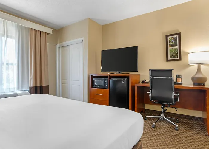Hotel Comfort Capitol - Area