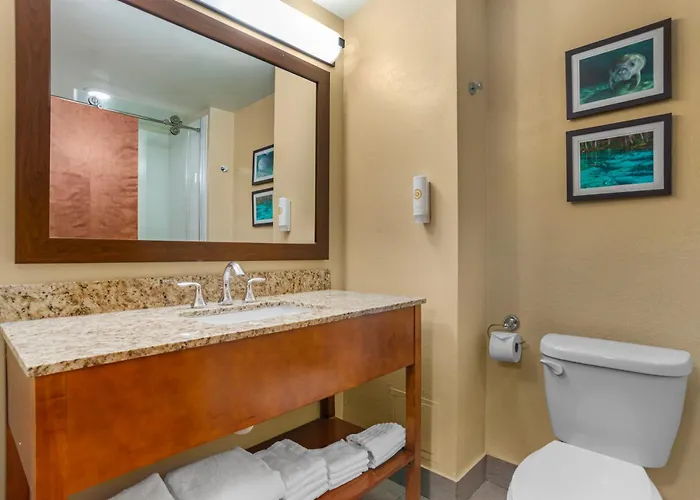 Comfort Capitol - Area Hotel 4*