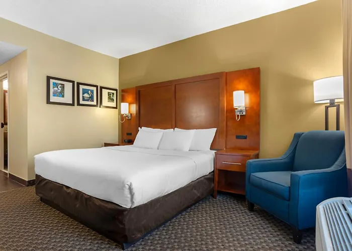 Hotel Comfort Capitol - Area 4*