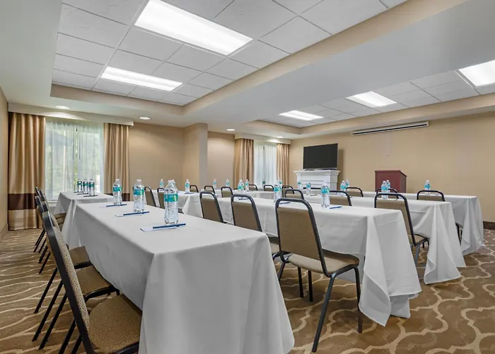 Hotel Comfort Capitol - Area Tallahassee