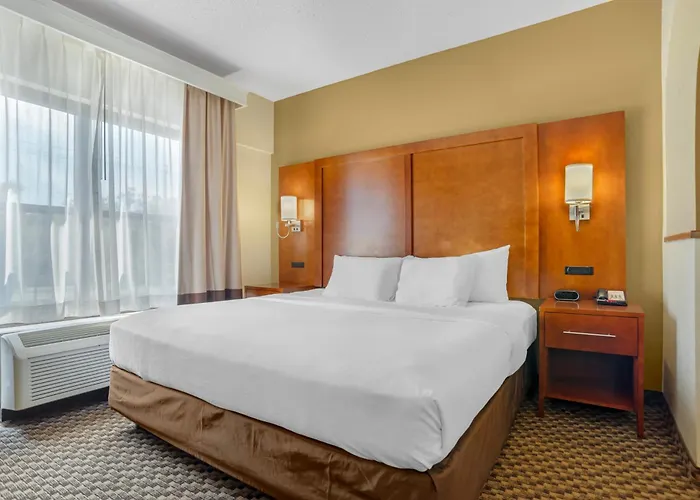 Hotel Comfort Capitol - Area