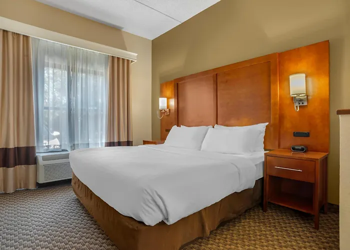 Comfort Capitol - Area Hotel 4*