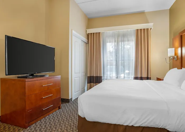 Hotel Comfort Capitol - Area Tallahassee