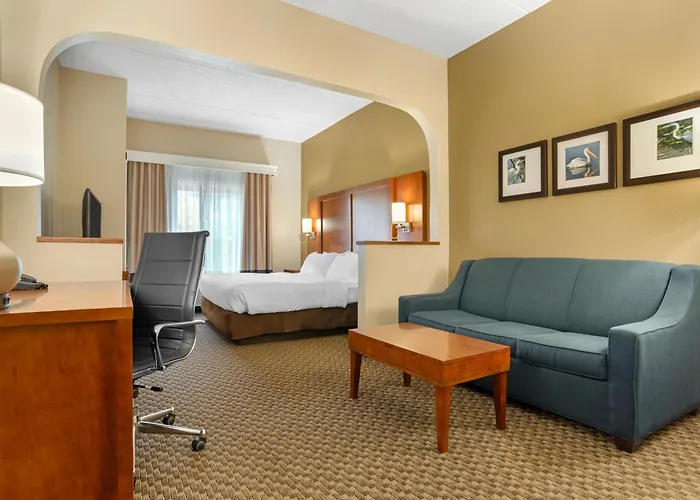 Comfort Capitol - Area 4* Tallahassee
