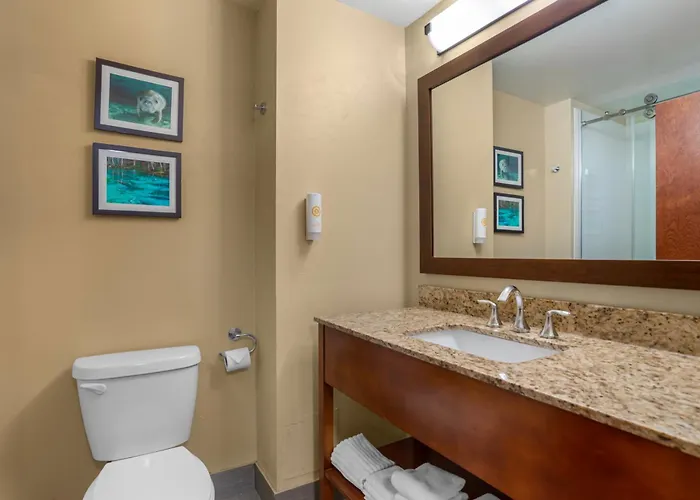 Hotel Comfort Capitol - Area Tallahassee