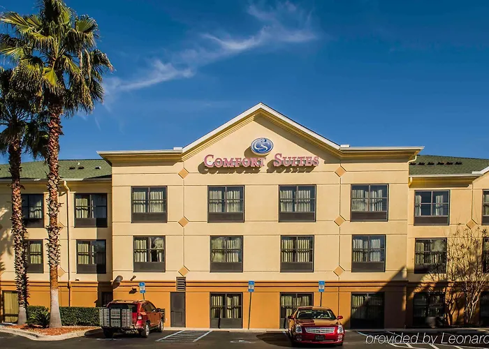 Comfort Capitol - Area Hotel Tallahassee
