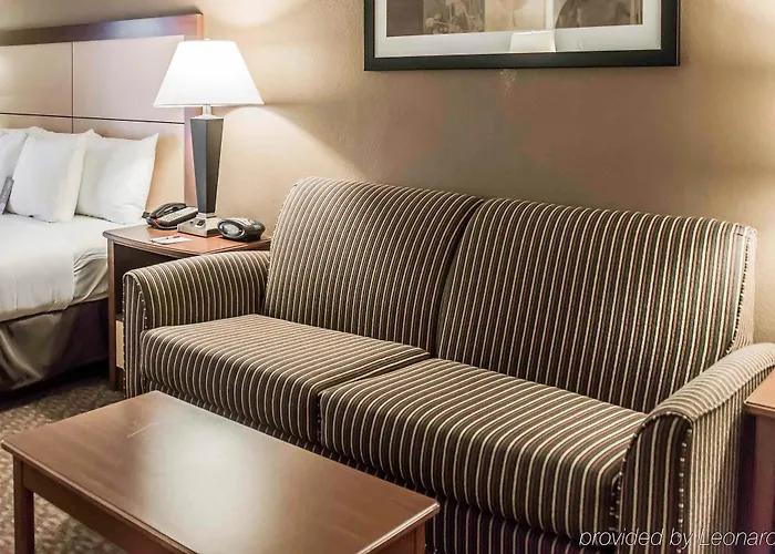 Hotel Comfort Capitol - Area