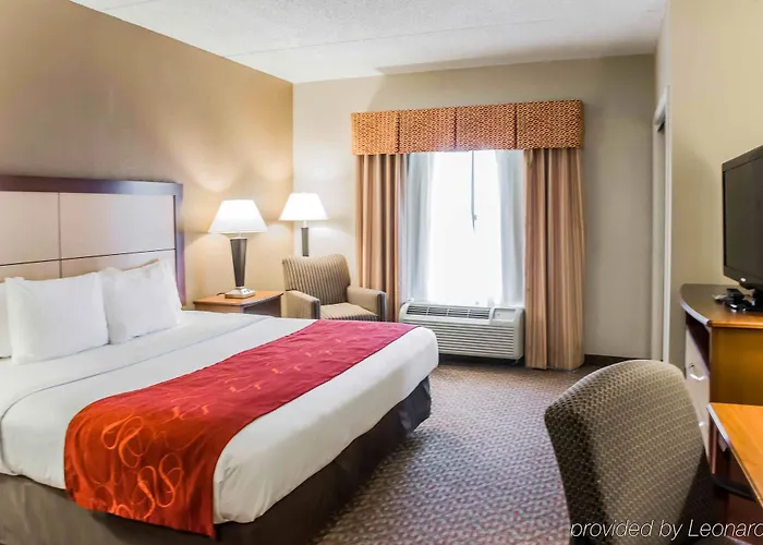 Comfort Capitol - Area Hotel 4*